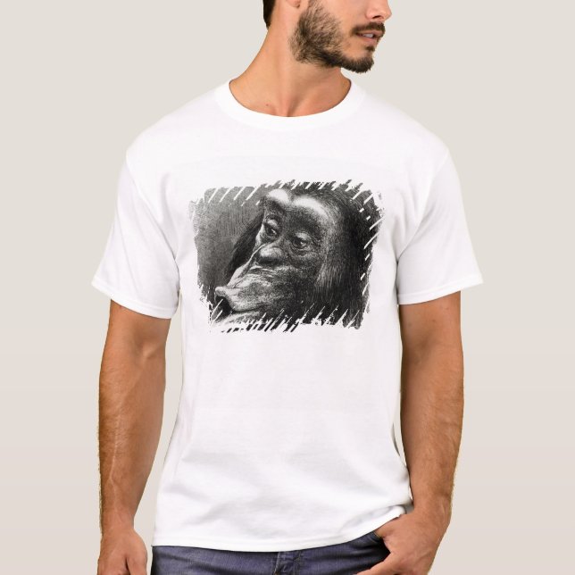 Camiseta Chimpanzé decepcionado e Sulky (Frente)