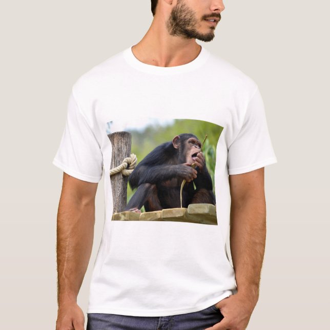 Camiseta Chimpanzé na prancha e comendo um postcar de árvor (Frente)