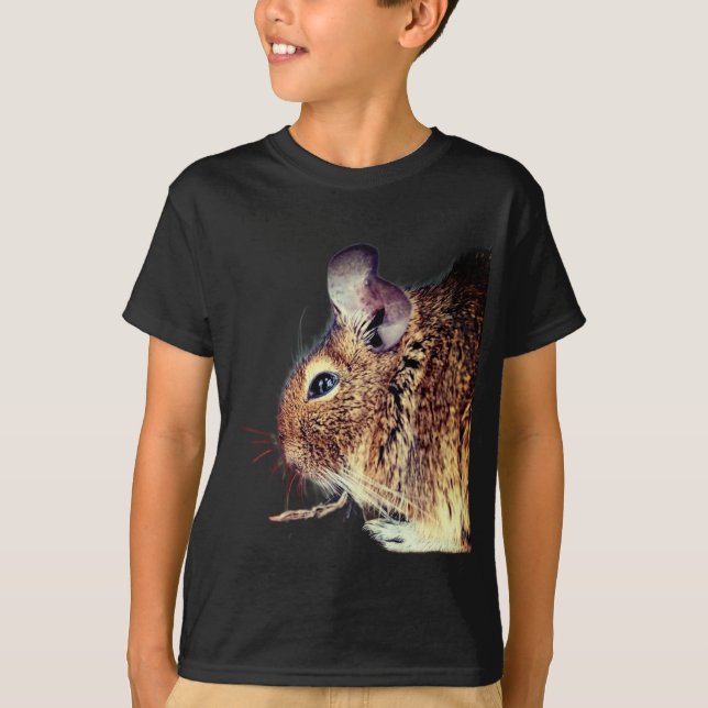 Camiseta Chinchilla (Frente)