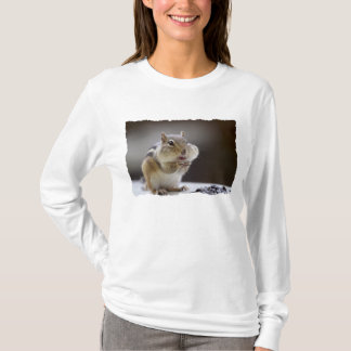 Camiseta Chipmunk com a foto do cheio dos mordentes