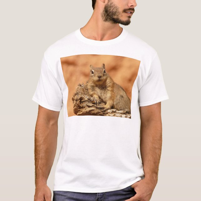 Camiseta Chipmunk engraçado que encontra-se em uma rocha (Frente)