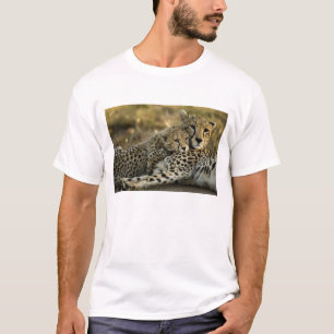 Camiseta Chita, Acinonyx jubatus, com filhote no Masai 2