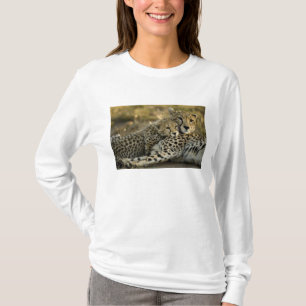 Camiseta Chita, Acinonyx jubatus, com filhote no Masai 2