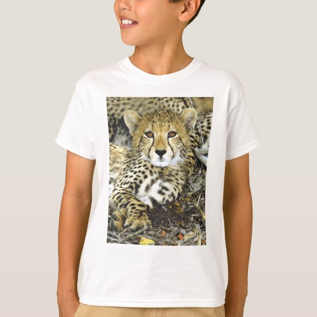 Camiseta Chita Cub 2 (Frente)