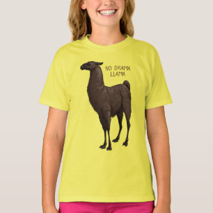 Camiseta Chocolate Castanho e Preto Sem Drama Lama