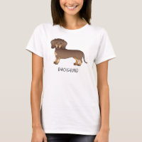 Chocolate E Marrom Claro Dachshund De Cabelo Curto