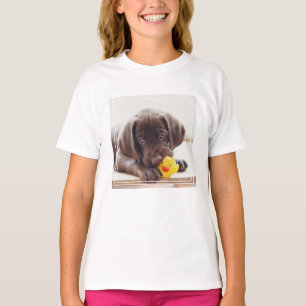 Camiseta Chocolate Labrador Com Pato De Brinquedo