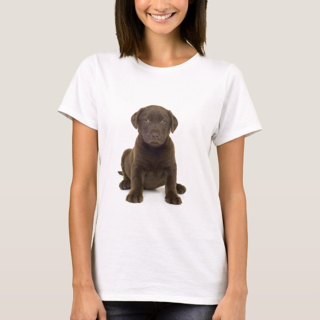 Camiseta Chocolate Labrador Damas T-Shirt (Frente)