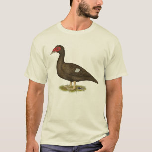 Camiseta Chocolate Muscovy Duck
