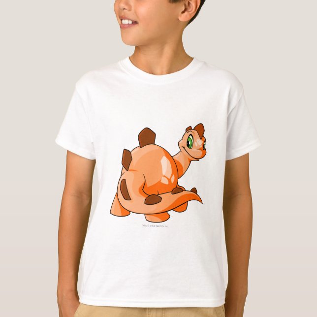 Camiseta Chomby Orange (Frente)
