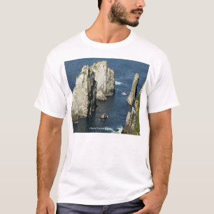 Camiseta Chowiet Seabird Colonies, Alasca