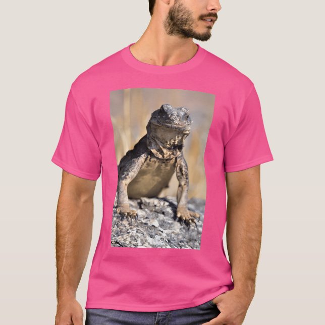 Camiseta Chuckwalla Sobre Assistir Ativo (Frente)