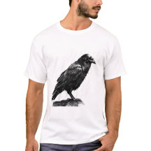 Chuva Suspiros, Sabedoria de Raven