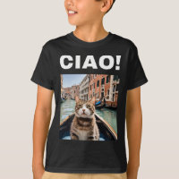 Ciao Funny Gondolier Cat Em Um Gondola Venetiano