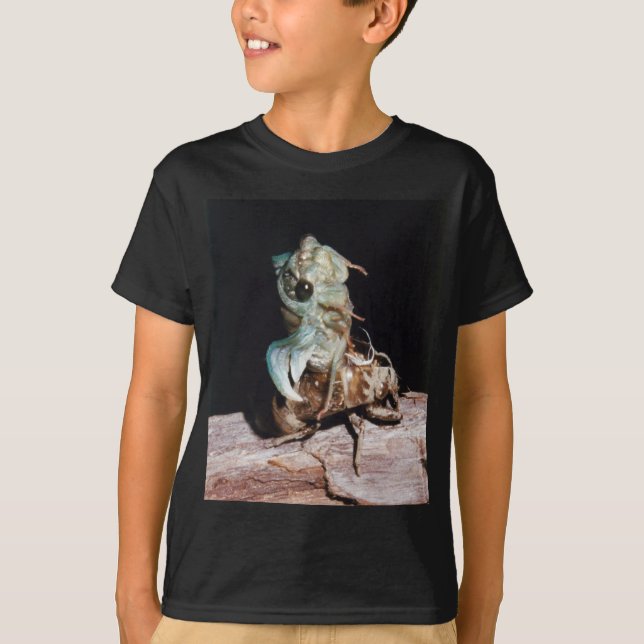 Camiseta Cicada Emergente da Shell (Frente)
