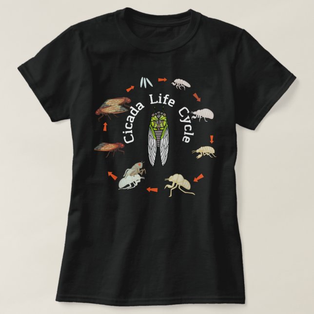 Camiseta Cicada Insect Cicada Cicada Cicada Cicada Cicada X (Frente do Design)