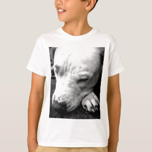 Camiseta cicatriz do harry potter cachorro pit bull branco