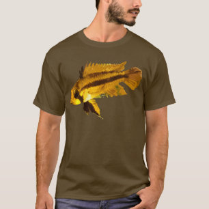 Camiseta Ciclídeo Anão