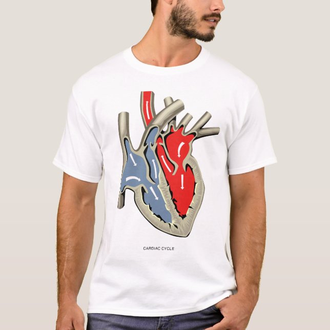 Camiseta Ciclo cardíaco (Frente)