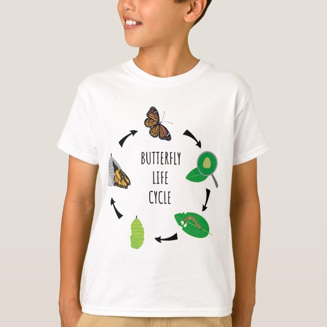 Camiseta Ciclo de Vida da Borboleta das Caterpilares (Frente)