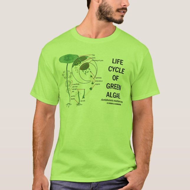 Camiseta Ciclo de vida de algas verdes (Frente)