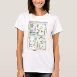 Camiseta Ciclo de vida de um musgo típico (Bryophyte)