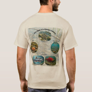 Camiseta Ciclo de Vida do Salmão Kokanee Gráfico