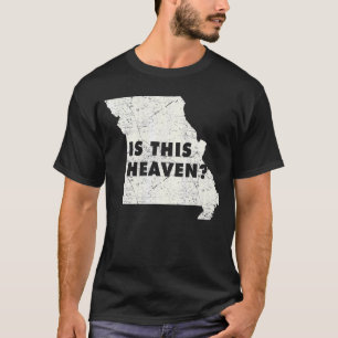 Camiseta Cidadão Orgulhoso Estado Americano do Céu Miseráve
