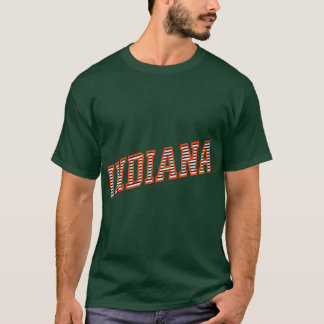 CAMISETA CIDADE DE INDIANA