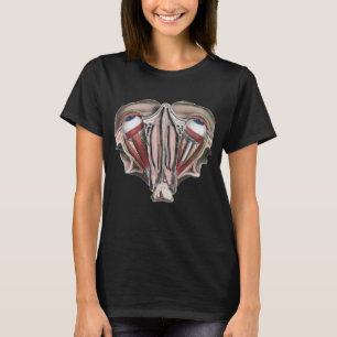 Camiseta Ciência de Anatomia Humana Vintage, Globos Oculare