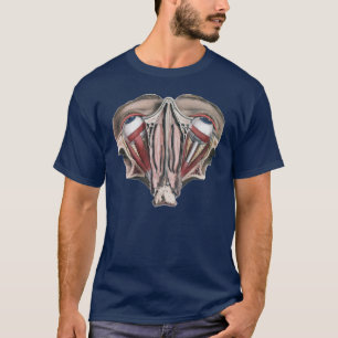 Camiseta Ciência de Anatomia Humana Vintage, Olhos Globos O