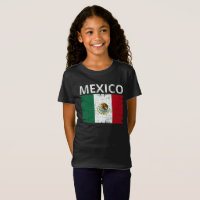 Cinco de Mayo - Bandeira Mexicana