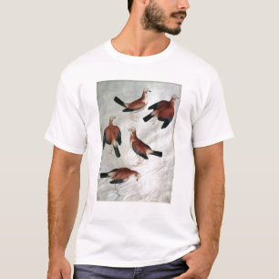 Camiseta Cinco Jays, do álbum de Vallardi