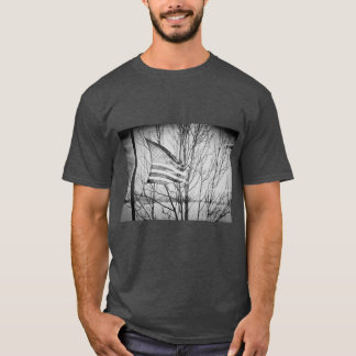 Camiseta Cinza Americana Windblown T-Shirt