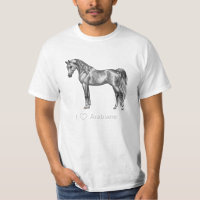 Cinza de ananás egípcia, cavalo árabe