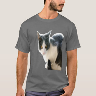 Camiseta Cinza E Arte De Vetor De Gato Branca