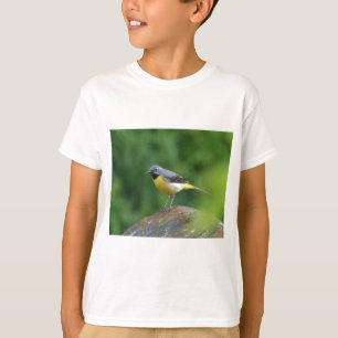 Camiseta Cinza Wagtail - pássaro