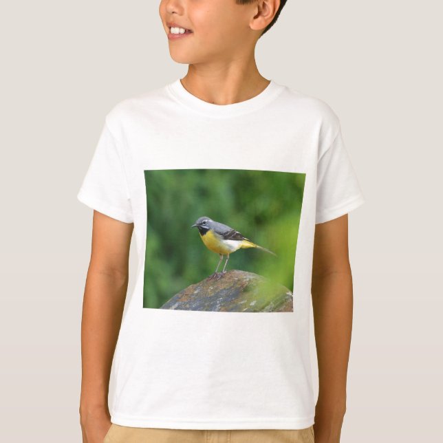 Camiseta Cinza Wagtail - pássaro (Frente)