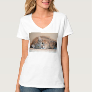 Camiseta Cinzas, Tan, gato de cabelos compridos branco por