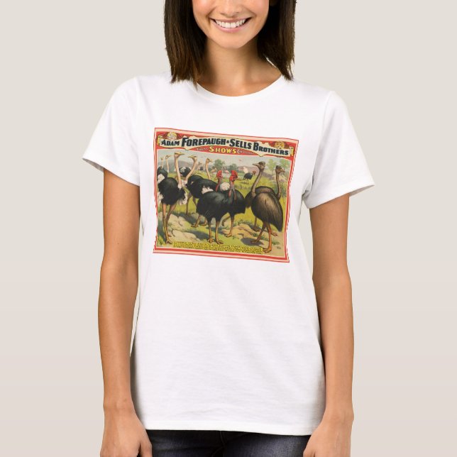 Camiseta Circo Vintage Mostrando Avestruzes E Aves Grandes. (Frente)