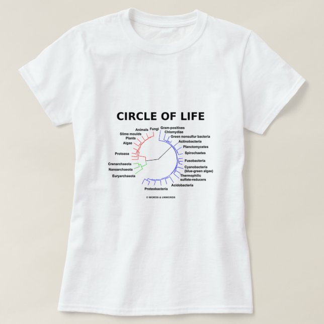 Camiseta Círculo da vida (árvore filogenética circular) (Frente do Design)
