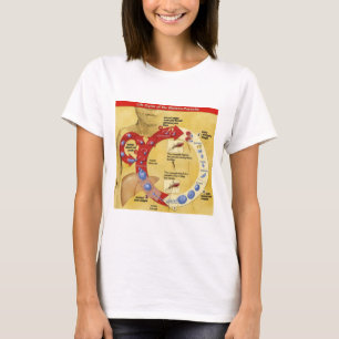 Camiseta Círculo da vida T