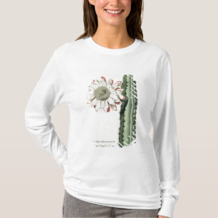 Camiseta Círio Erectus Altissimus Syrinamensis 'de Phyth