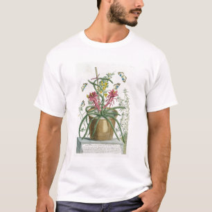 Camiseta Círio Minimus, c.1745 (litho colorido)