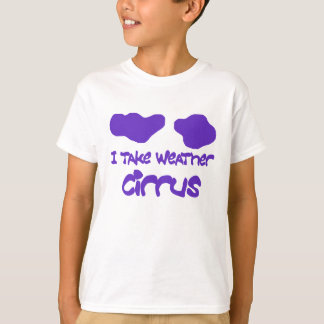 Camiseta cirro engraçado