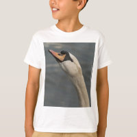 Cisne