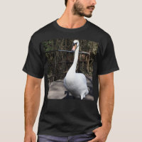 Cisne