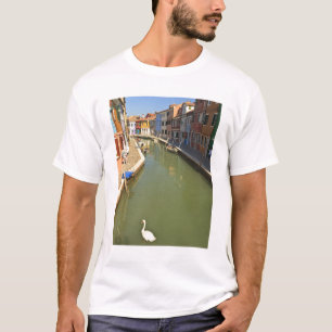 Camiseta Cisnes no canal, Ilha de Burano, Veneza, Itália