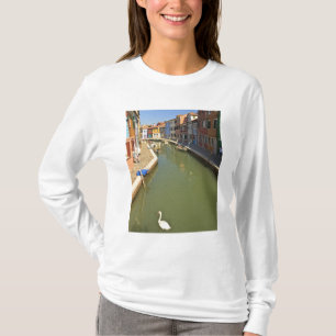 Camiseta Cisnes no canal, Ilha de Burano, Veneza, Itália