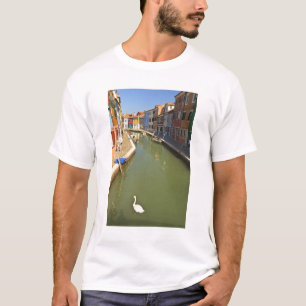 Camiseta Cisnes no canal, Ilha de Burano, Veneza, Itália